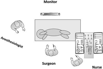 Congenital Pulmonary Airway Malformation in Children: Advantages of an Additional Trocar in the Lower Thorax for Pulmonary Lobectomy